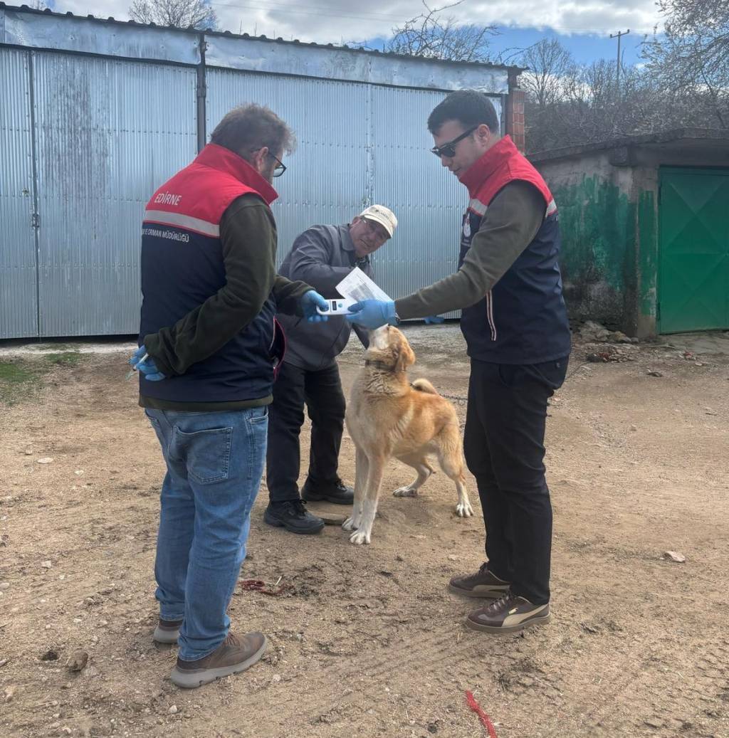 bilecik-haber_edirne-de-sahipli-hayvanlara-yonelik-asilama-ve-cip-uygulamalari-suruyor-66643.jpg