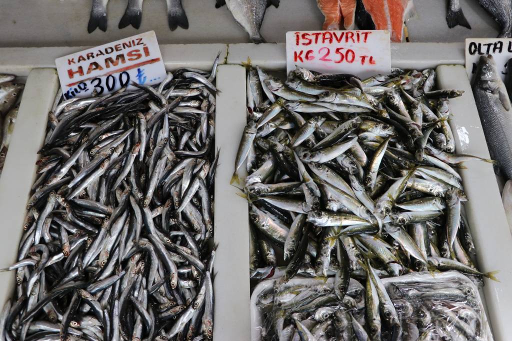 bilecik-haber_tekirdag-da-balik-tezgahlarinda-daha-cok-hamsi-ve-istavrit-satiliyor-67318.jpg