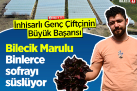 marul
