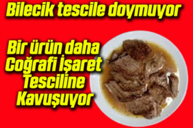 tamammmmmmmm