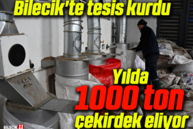 tesissssss