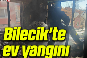 yangın