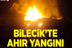 YANHIN