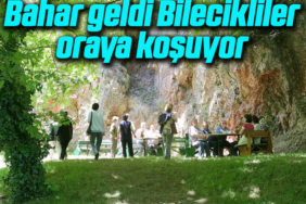 bil