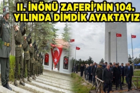 dimdik