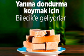 dondurma
