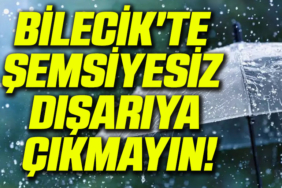 kemik