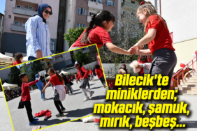 mırık