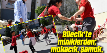 mırık