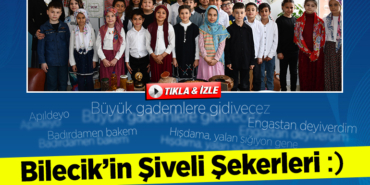 şiveli