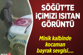 sogut