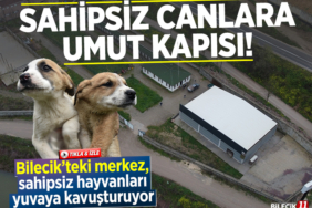 umut