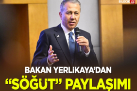 yerlikaya