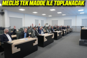 MEWCLİSSSSSSSSSS