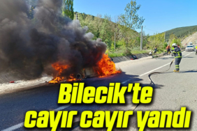 cayır cayır