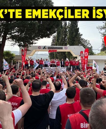 emek