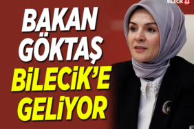 goktas