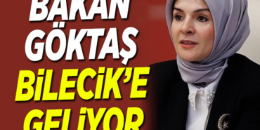 goktas