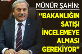 şahin