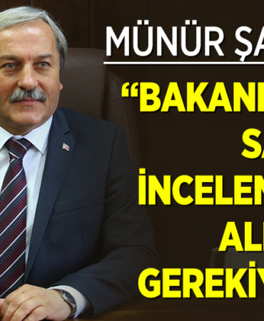 şahin