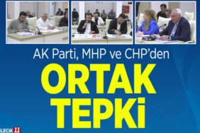 tepki