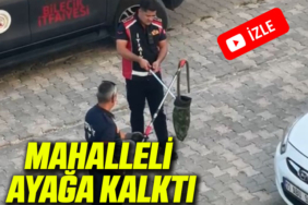 BİLECİK YILAN