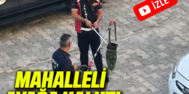 BİLECİK YILAN