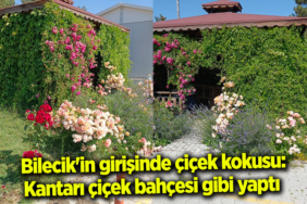 ÇİÇEK