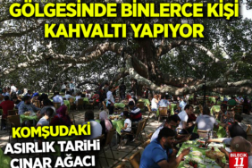 ÇINAR