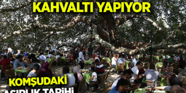 ÇINAR
