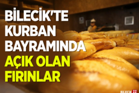 FIRINLAR