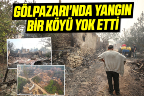 Gölpazarı'nda Yangın bir Köyü yok etti