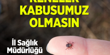 KENE
