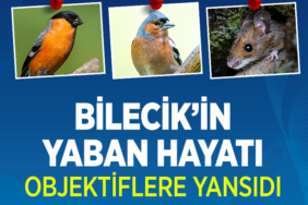 YABAN
