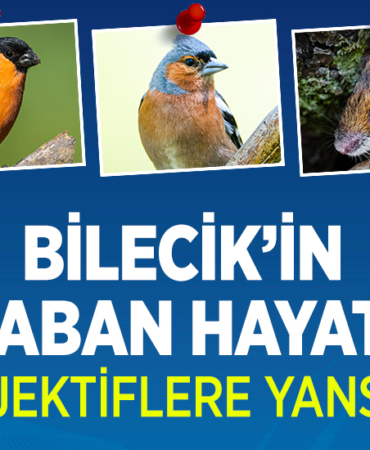 YABAN