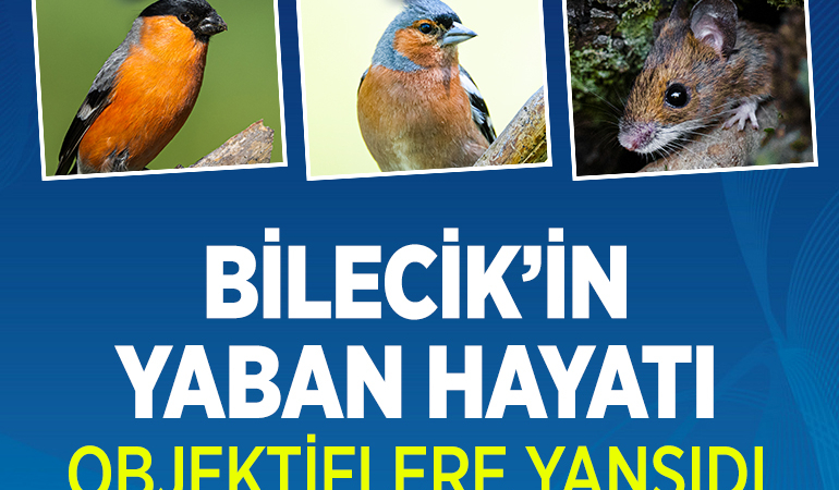 YABAN