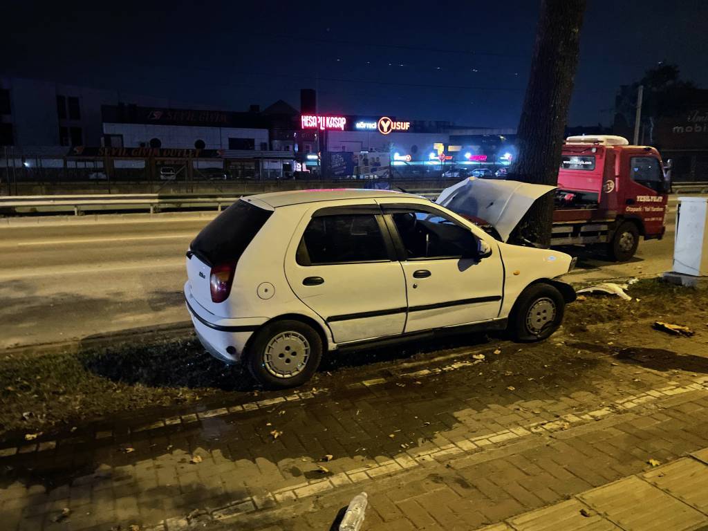 bilecik-haber_bursa-da-agaca-carpan-otomobildeki-2-kisi-yaralandi-81494.jpg