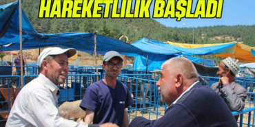 kurban