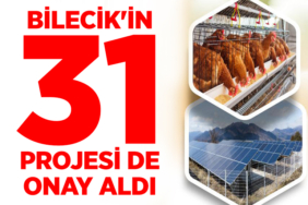 onay