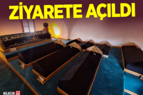 ziyarete