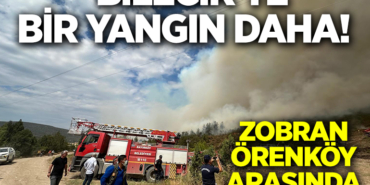 ZOBRAN