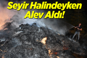alev
