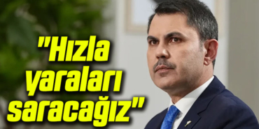bakan