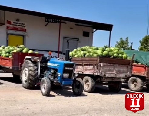Bilecik’in Antalya’sı Osmaneli’nin Meşhur Karpuzu çıktı