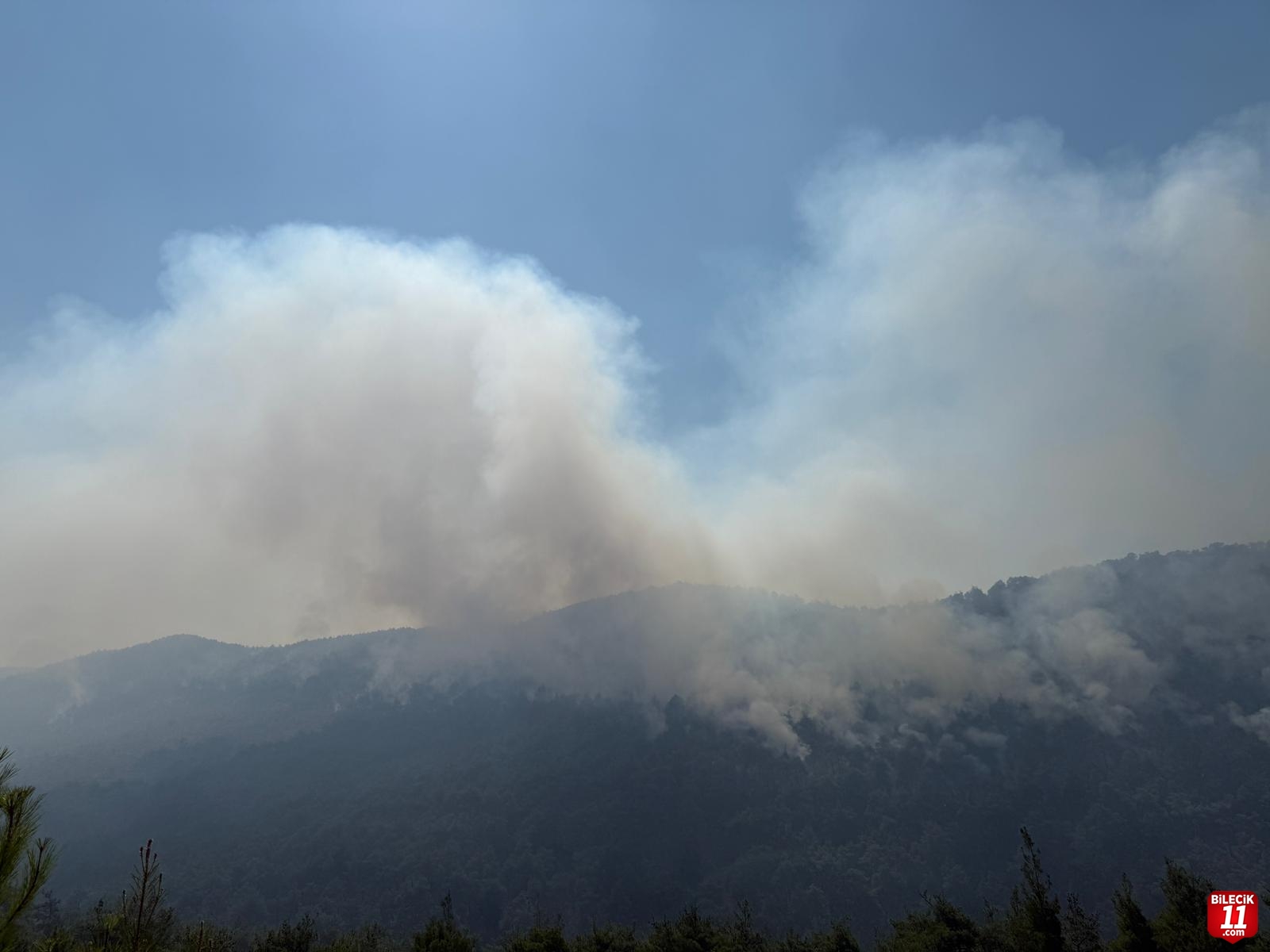 Sakarya'dan Bilecik tarafına sıçrayan orman yangınına müdahale sürüyor