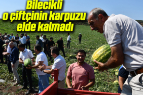 çiiii