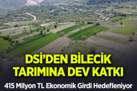 hedef