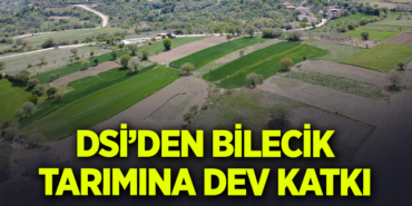 hedef