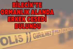 wteyrtuyıguoıokşli