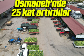 wutu6tutf6uı